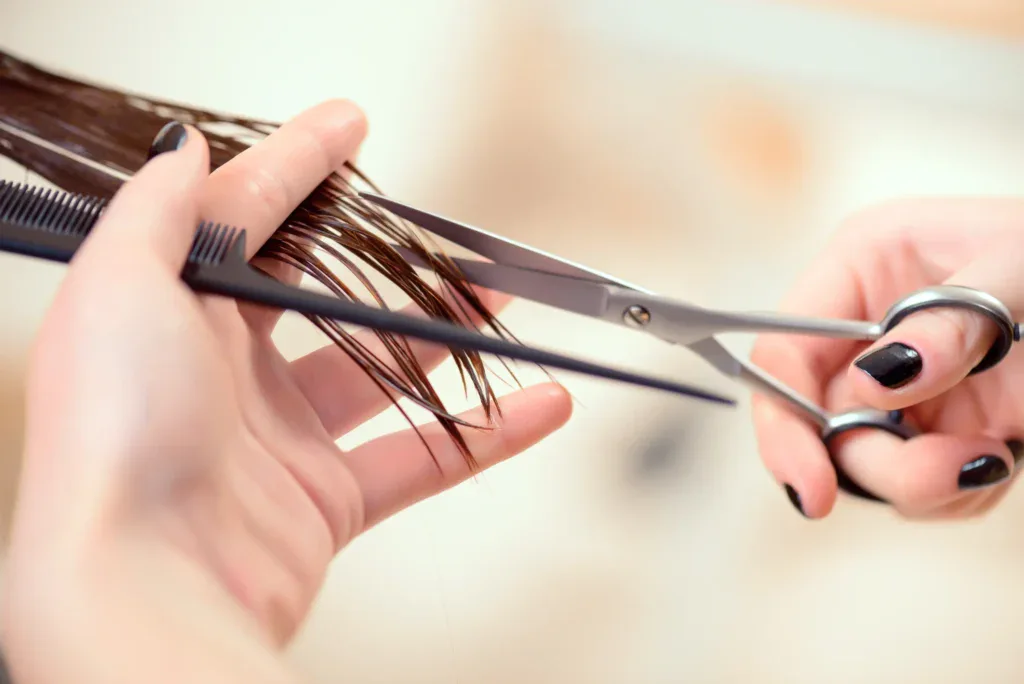 Cut & Set